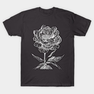 Ink - Peony Variation 2 T-Shirt